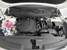 
 Kia Sportage full									