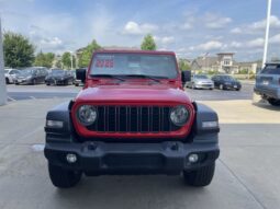 Jeep Wrangler full