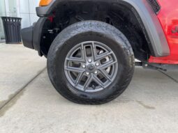 Jeep Wrangler full