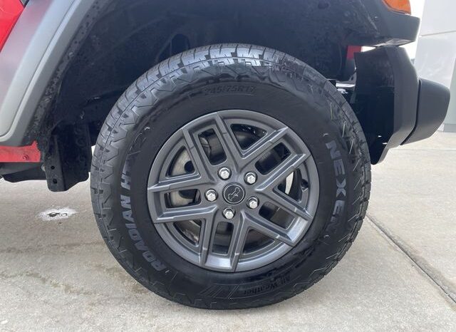 
 Jeep Wrangler full									