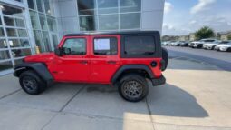 Jeep Wrangler full