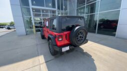 Jeep Wrangler full