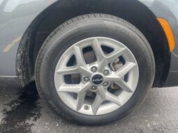 
 Kia Soul full									