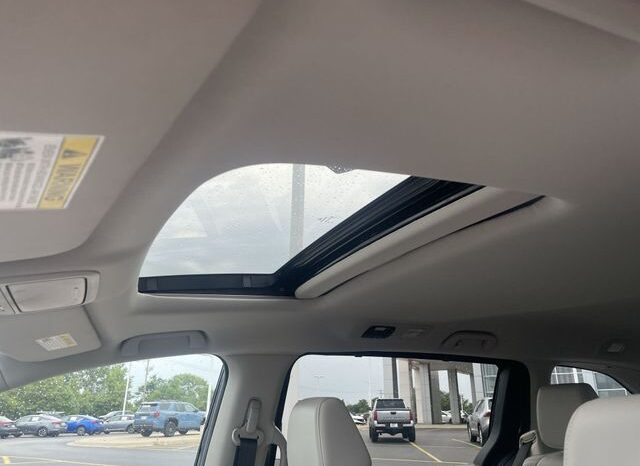 
 Honda Odyssey full									