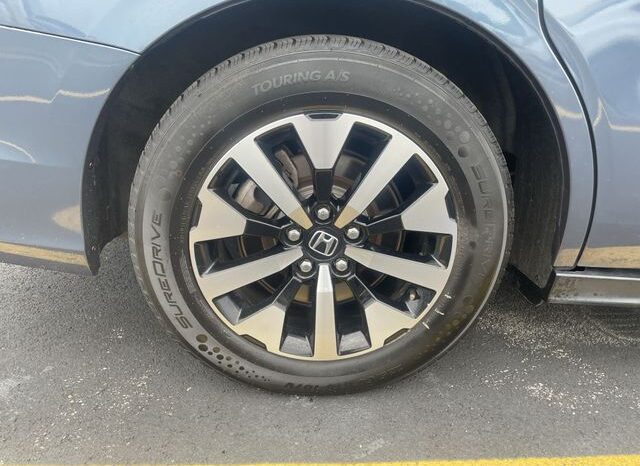 
 Honda Odyssey full									