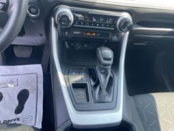 Toyota RAV4 full