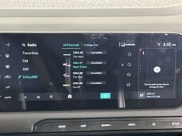 
 Kia Telluride full									