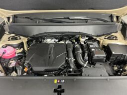 
 Kia Telluride full									