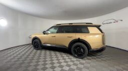 
 Kia Telluride full									