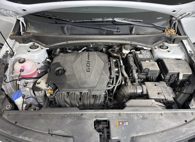 
 Kia Sportage full									