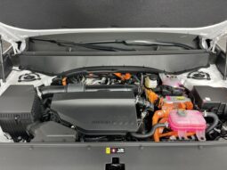 Kia Telluride Hybrid full