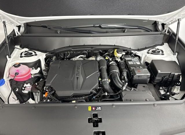 
 Kia Telluride full									