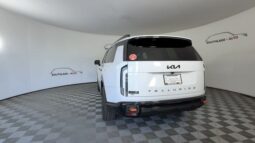 Kia Telluride full