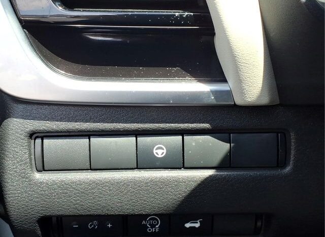 
 Nissan Rogue full									