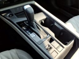 
										Nissan Sentra full									