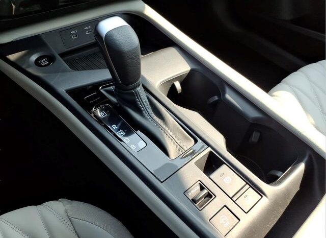 
								Nissan Sentra full									