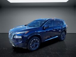 
 Nissan Rogue full									