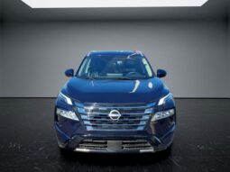 
 Nissan Rogue full									