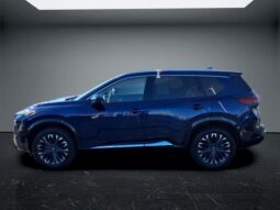 
 Nissan Rogue full									