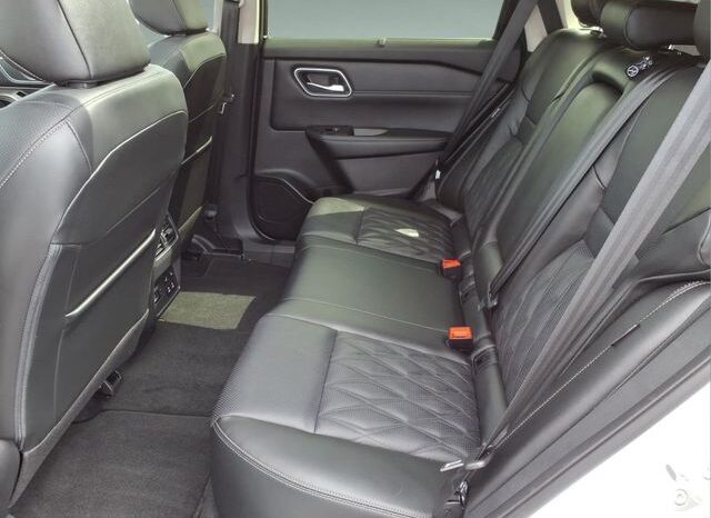 
 Nissan Rogue full									