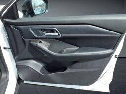 
 Nissan Rogue full									