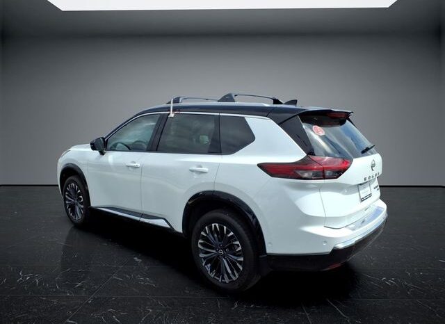 
 Nissan Rogue full									