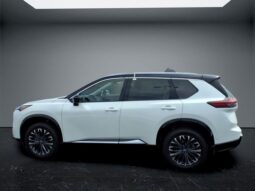 
 Nissan Rogue full									