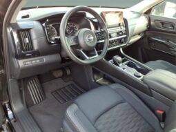 
 Nissan Pathfinder full									