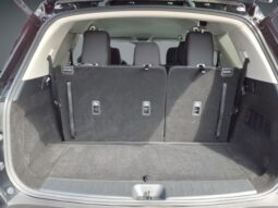 
 Nissan Pathfinder full									
