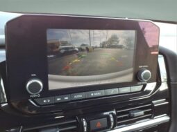 
 Nissan Pathfinder full									