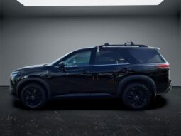 
 Nissan Pathfinder full									