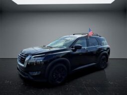 
 Nissan Pathfinder full									