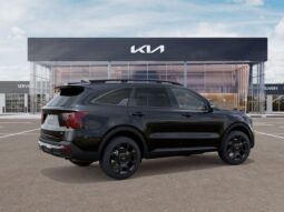 
 Kia Sorento Hybrid full									