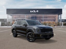 
 Kia Sorento Hybrid full									