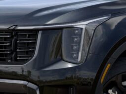 
 Kia Sorento Hybrid full									