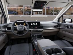 
 Kia Carnival full									