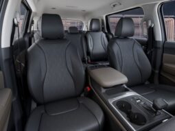
 Kia Carnival full									