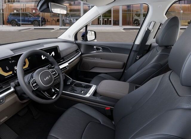 
 Kia Carnival full									