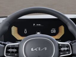 
 Kia Carnival full									