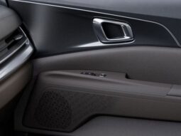 
 Kia Carnival full									