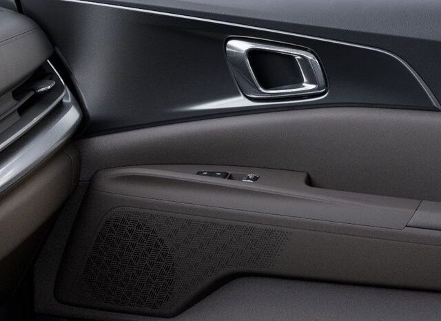
 Kia Carnival full									