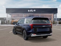 
 Kia Carnival full									