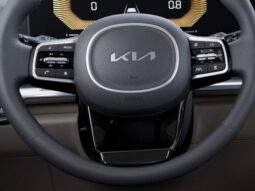 Kia Carnival full