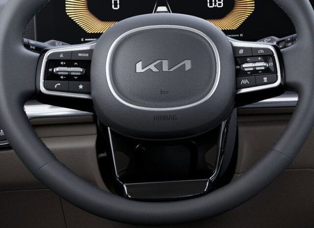
 Kia Carnival full									