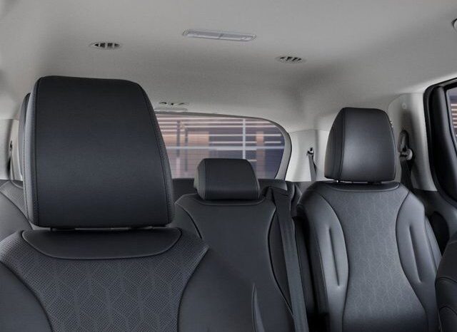 
 Kia Carnival full									