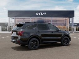 
 Kia Sorento full									