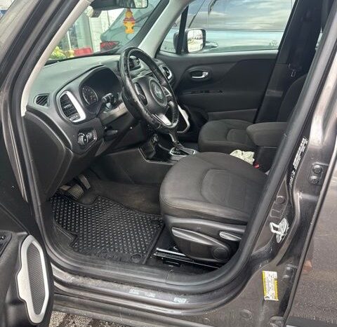 
 Jeep Renegade full									