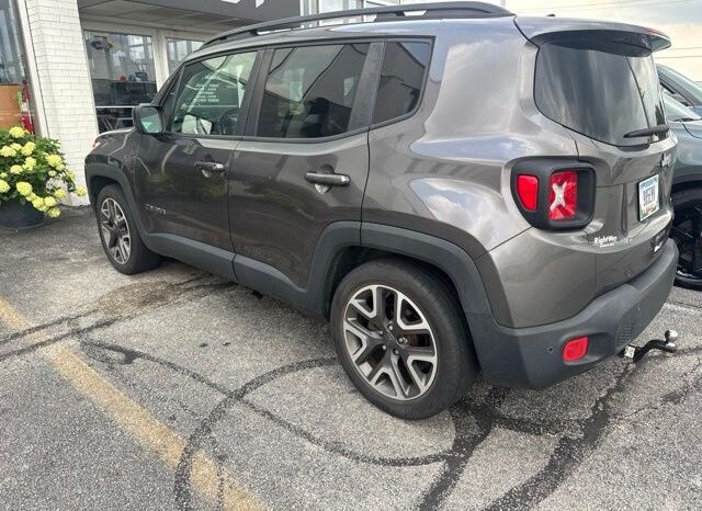 
 Jeep Renegade full									