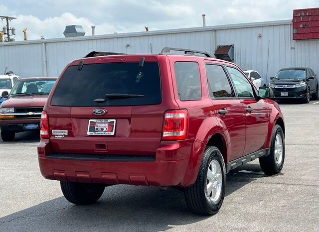 
 Ford Escape full									