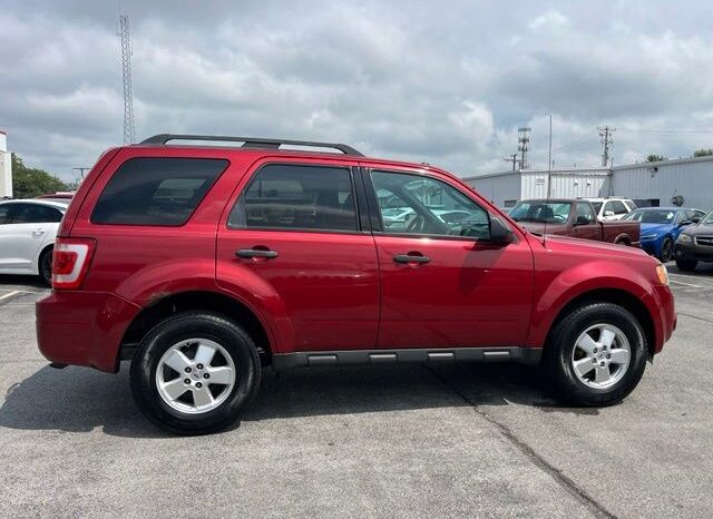 
 Ford Escape full									
